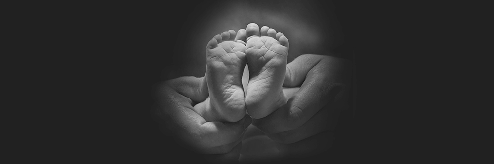 12 weeks – Shads’ Story