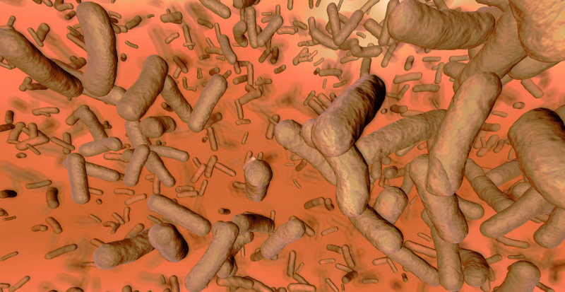 The Gut Microbiome and PCOS (Polycystic Ovary Syndrome)